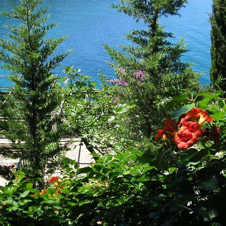 Apartments Mercep Dubrovnik Dış mekan fotoğraf