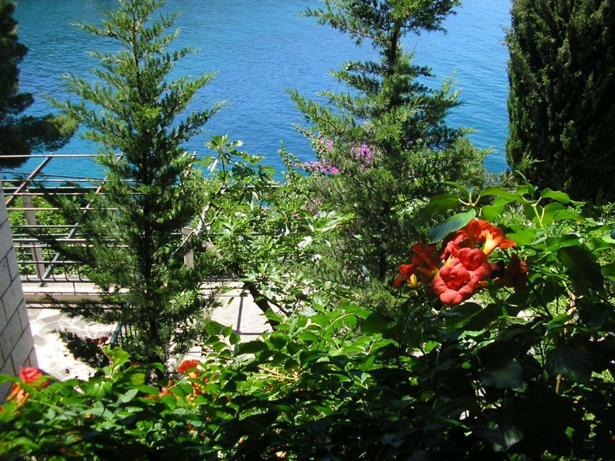 Apartments Mercep Dubrovnik Dış mekan fotoğraf