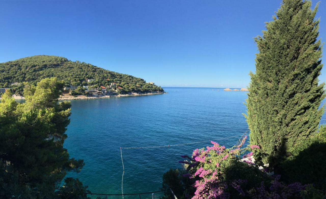 Apartments Mercep Dubrovnik Dış mekan fotoğraf